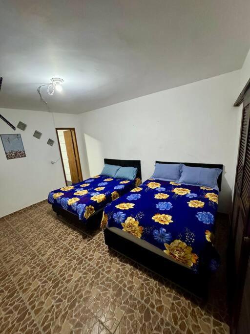 Apartment Lindo Estudio Em Caioba! Vao Amar! Matinhos